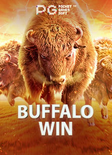 ผลบาสเกาหลีการพนันถูกกฎหมาย ไทย เล่นสล็อตอย่างเซียน